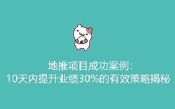 地推项目成功案例：10天内提升业绩30%的有效策略揭秘