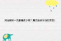 河马剧场一天能赚多少钱？真实体验告诉你答案！