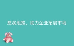 慈溪地推,助力企业拓展市场